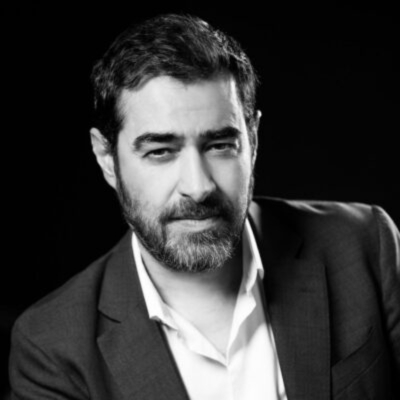شهاب حسینی