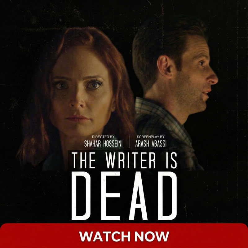 the-writer-is-dead-movie-slider